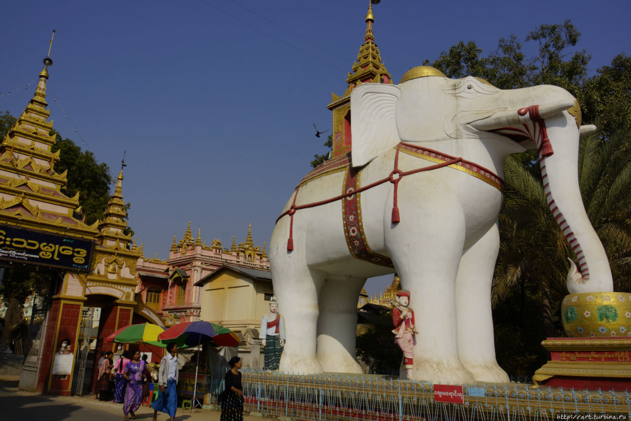 Храм Танбоддхи тоже встречает очень красивыми слониками. Монива, Мьянма