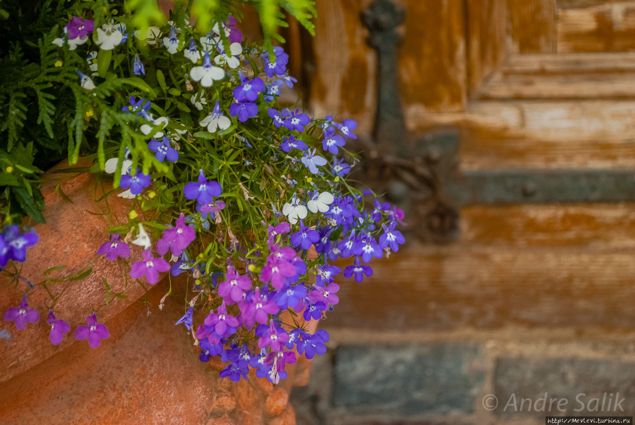 Последний день лета в Риге Рига, Латвия