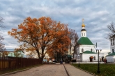 Владимирский черешчатый дуб (110 лет),растущий на Спасском холме у Спасо-Преображенской церкви