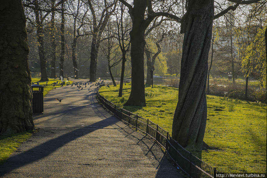 Риджентс-парк Лондон, Великобритания