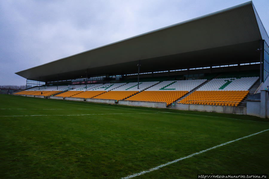 Общий вид стадиона. Талламор, Ирландия
