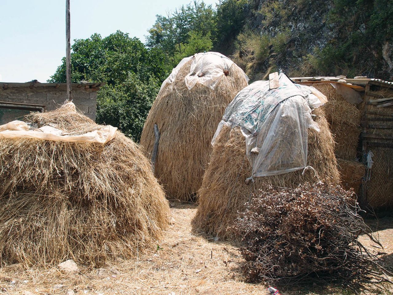 Короткая вылазка в Албанию Лин, Албания