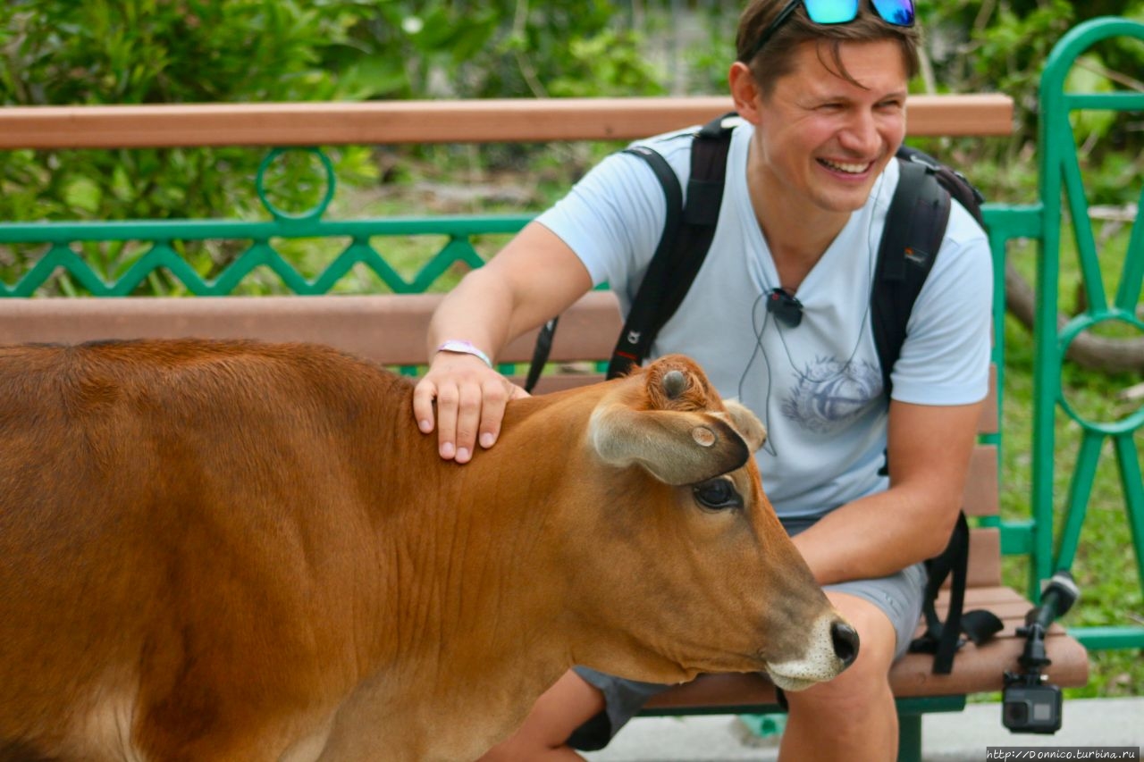 Туристическая деревня Нгонг-Пинг / Ngong Ping Village