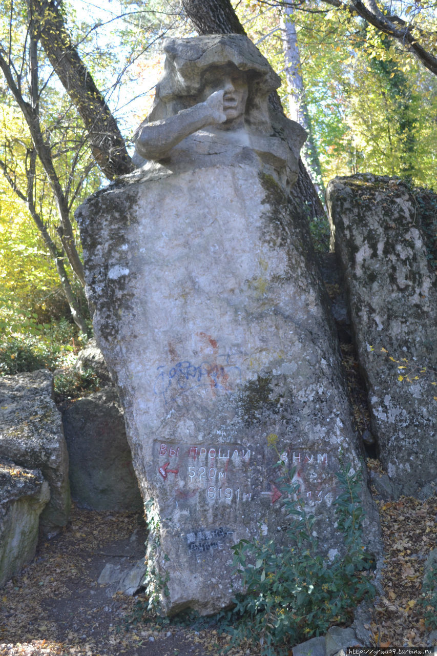 Любимая тропа императора, полезная для здоровья Ливадия, Россия