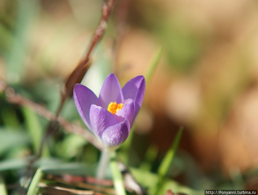 А у нас уже весна! А у вас ? Штутгарт, Германия