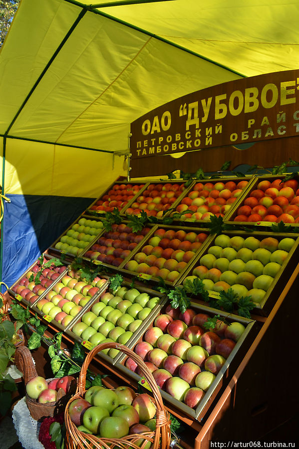 Яблоки..отечественные... а в магазинах одни польские(( Тамбов, Россия