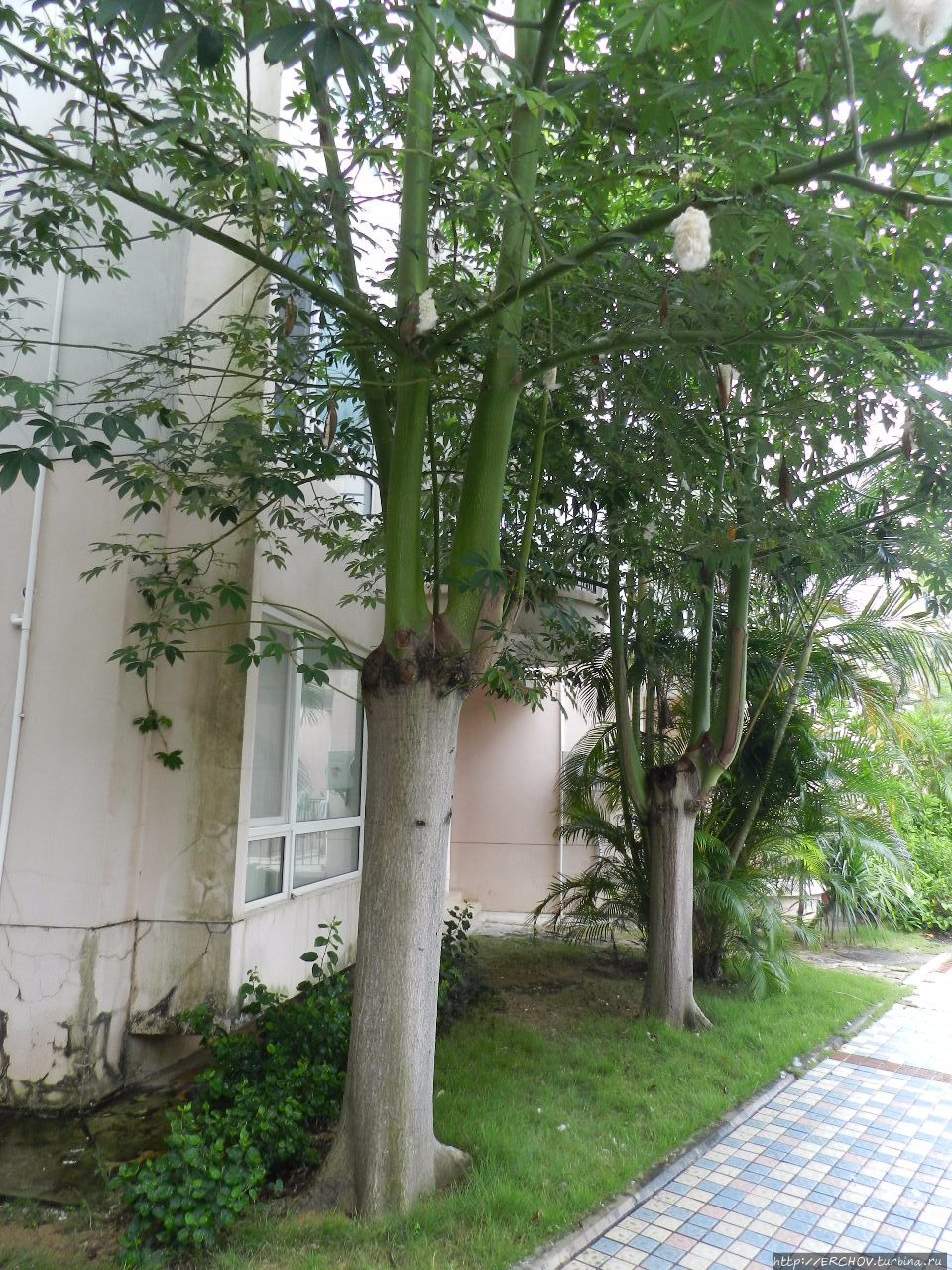 Экскурсия в этнографическую деревню. Ч — 1. Народность Ли Провинция Хайнань, Китай