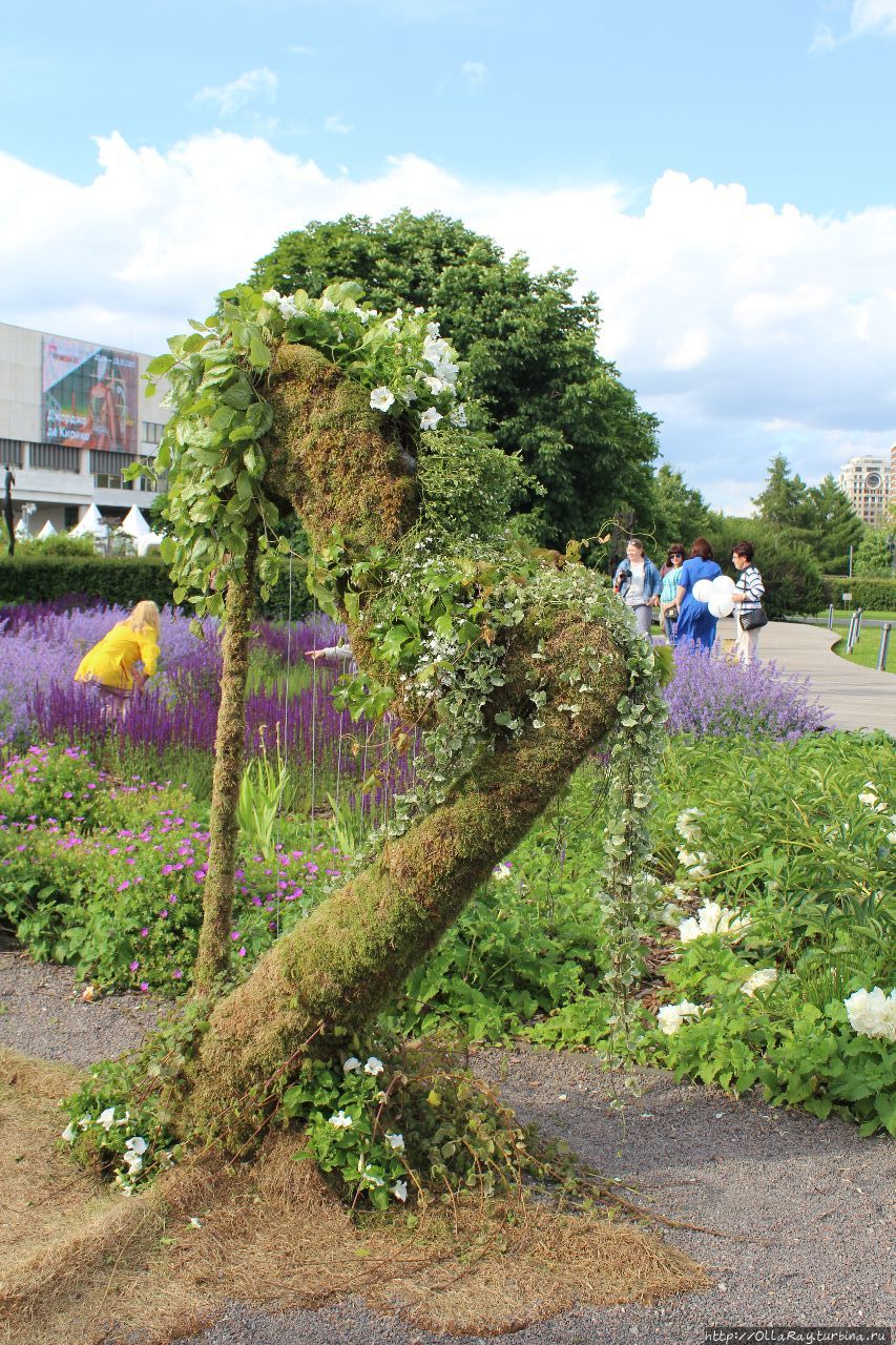 Moscow Flower Show 2017. Фотоотчёт и впечатления. Москва, Россия