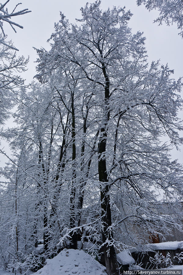 Унтер-ден-Линден Пермь, Россия