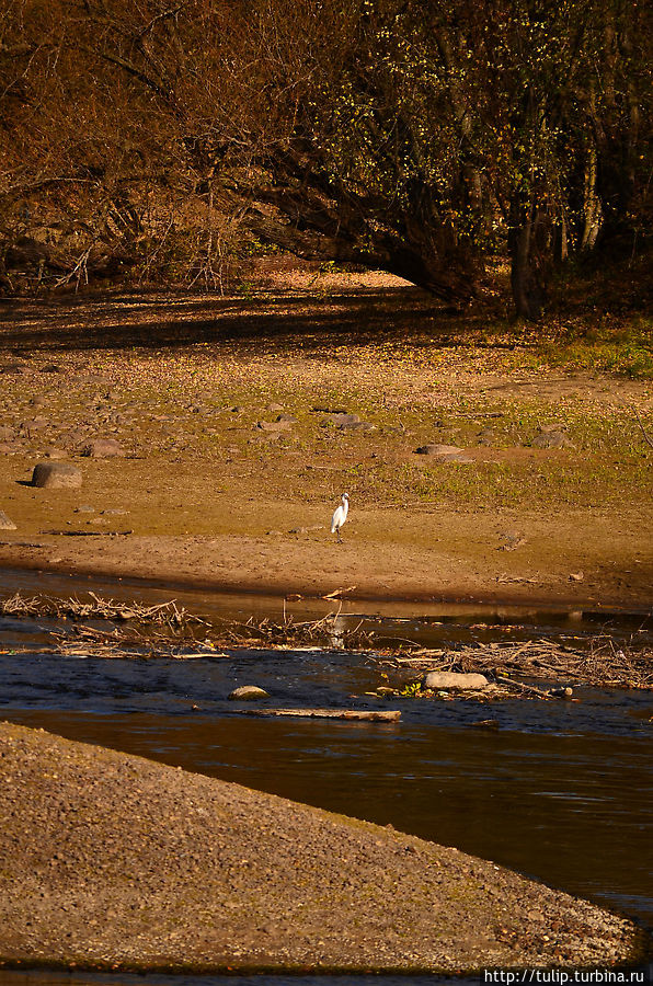 За что ЕЁ любить??? Штат Миннесота, CША