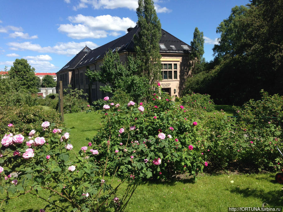 Цветущий Ботанический сад Осло, Норвегия