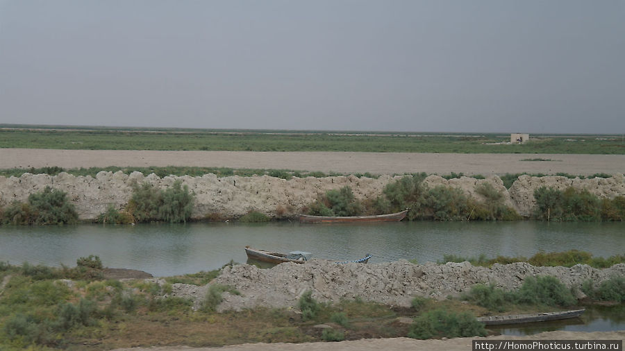 Возле Басры, разлив Евфрата Провинция Басра, Ирак