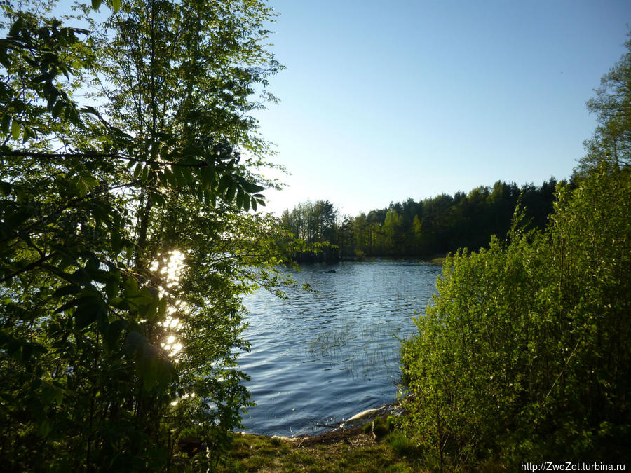 Островное озеро богато щукой, окунем и плотвой Остров Мощный, Россия