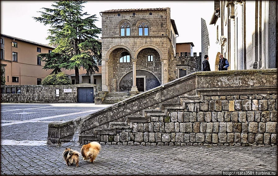 Здание с арочными сводами 12в, которое принадлежало городскому приору, имеет черты как романского, так и готического стиля. Витербо, Италия