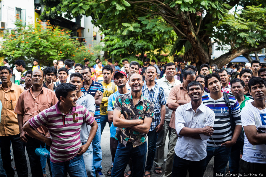 Из интернета