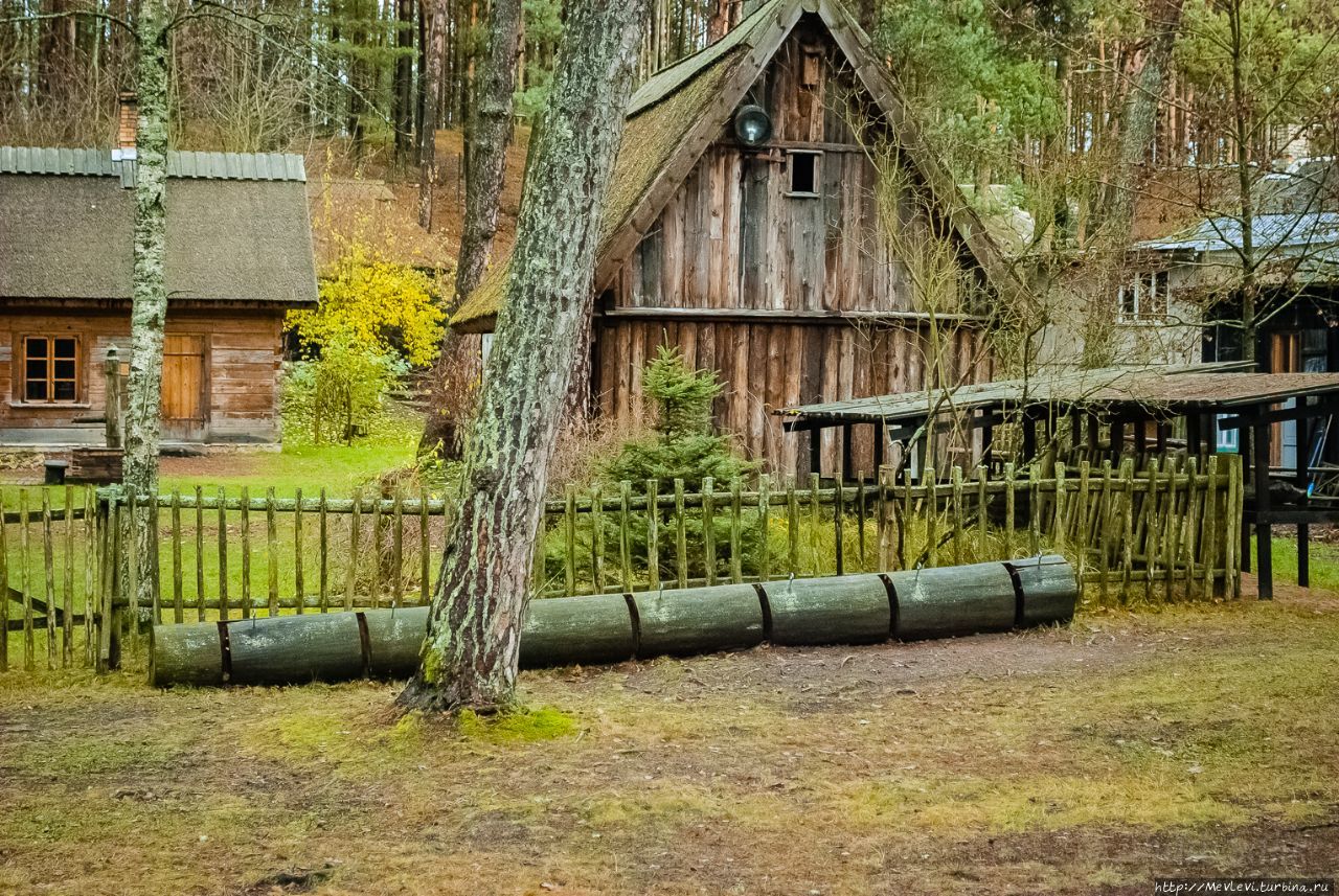 Юрмальский музей природы Юрмала, Латвия