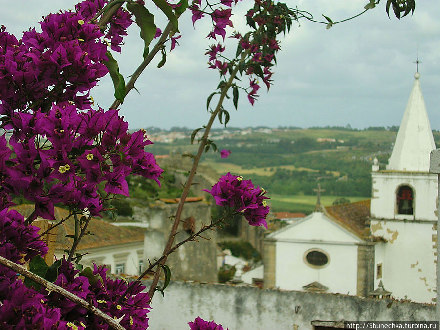 Вечноцветущая страна Португалия