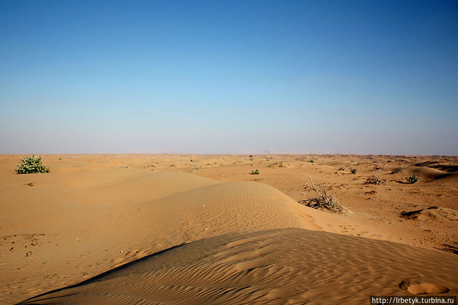 Пляжные радости Арабских Эмиратов и пустынное сафари ОАЭ