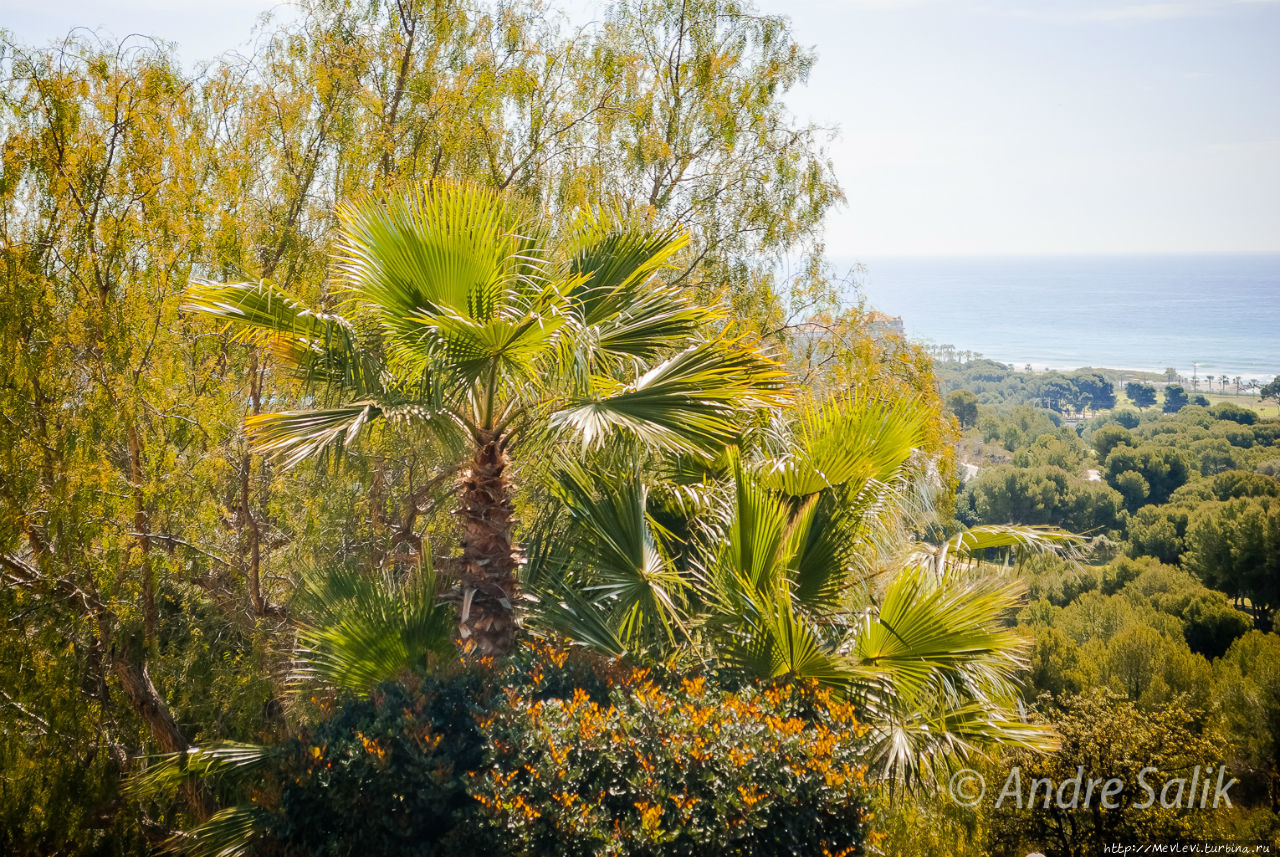 В мае на юге Барселона, Испания