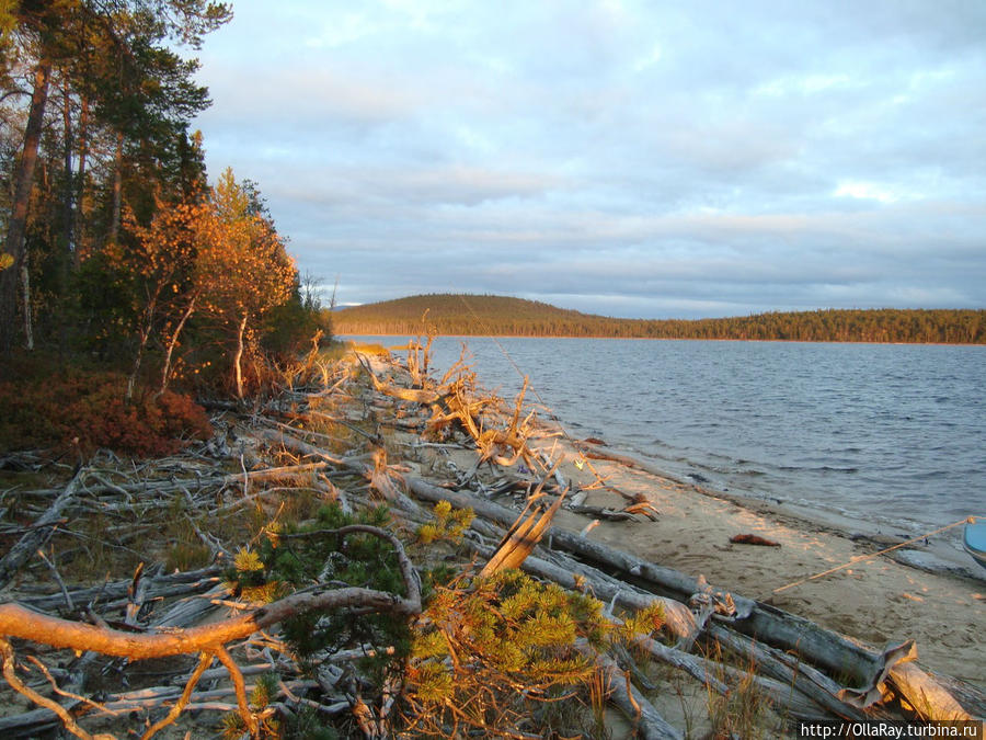 Осень на реке Вуве. Мурманская область. Автор фото Илья Скорняков.