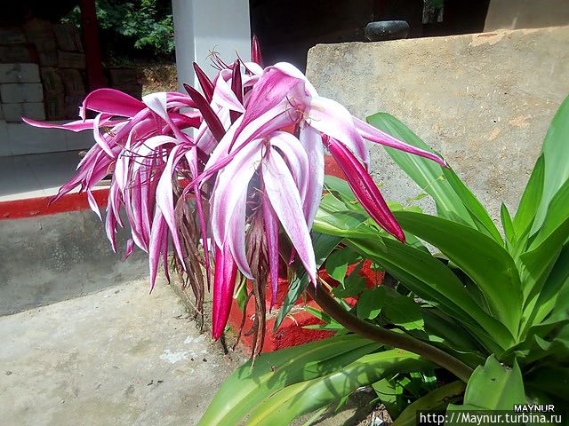 Природа и храмы Китая Китай