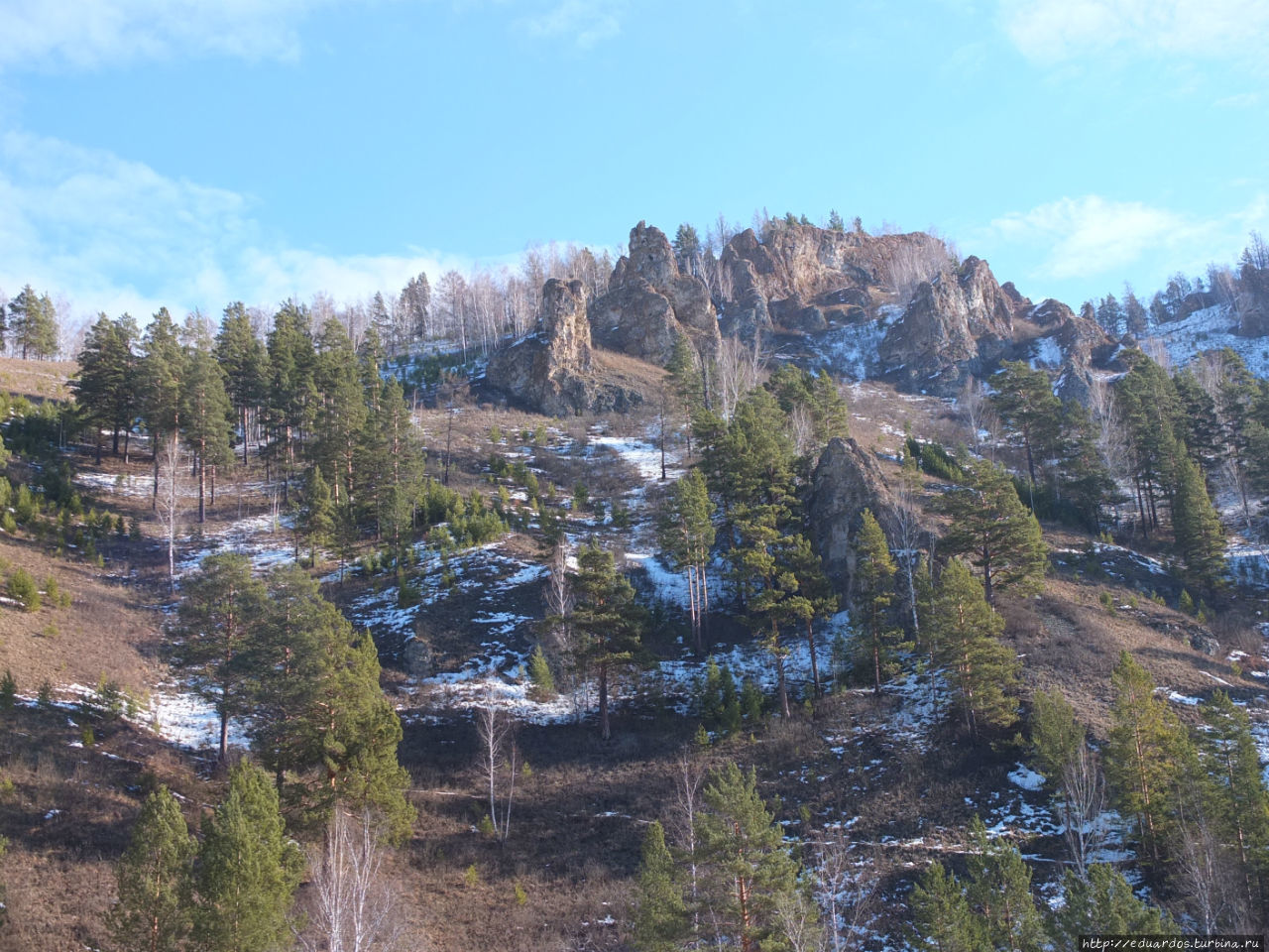 С настроением весеннего леса... Красноярск, Россия