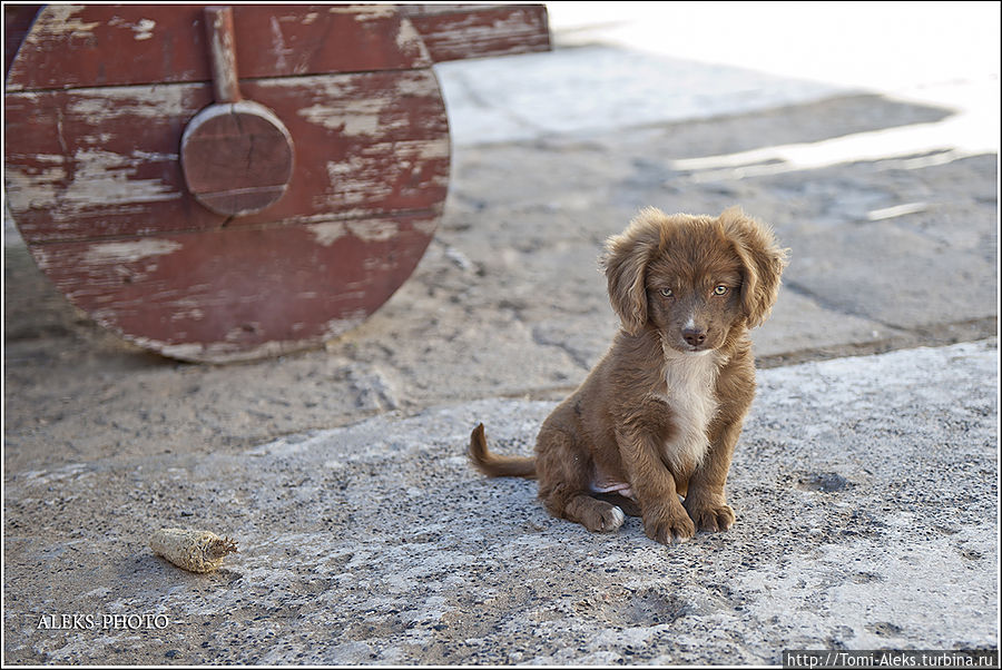 Меня очень порадовал вот этот малыш. Он, словно маленький пират, сидел возле пушек...
*