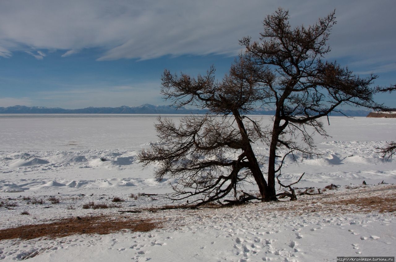 Монголия зимой. Часть вторая. Монголия
