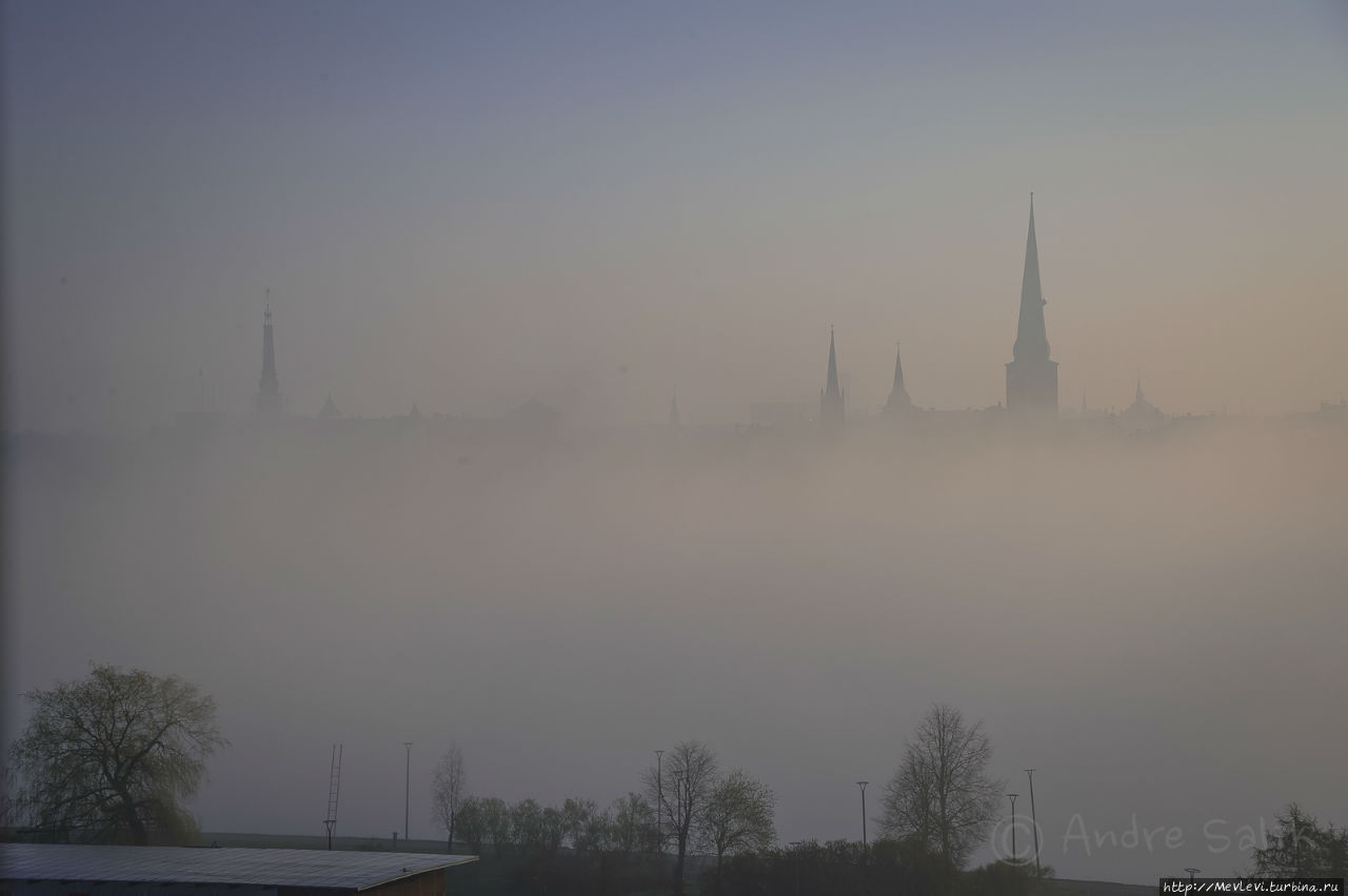Туманное утро над Старой Ригой Рига, Латвия