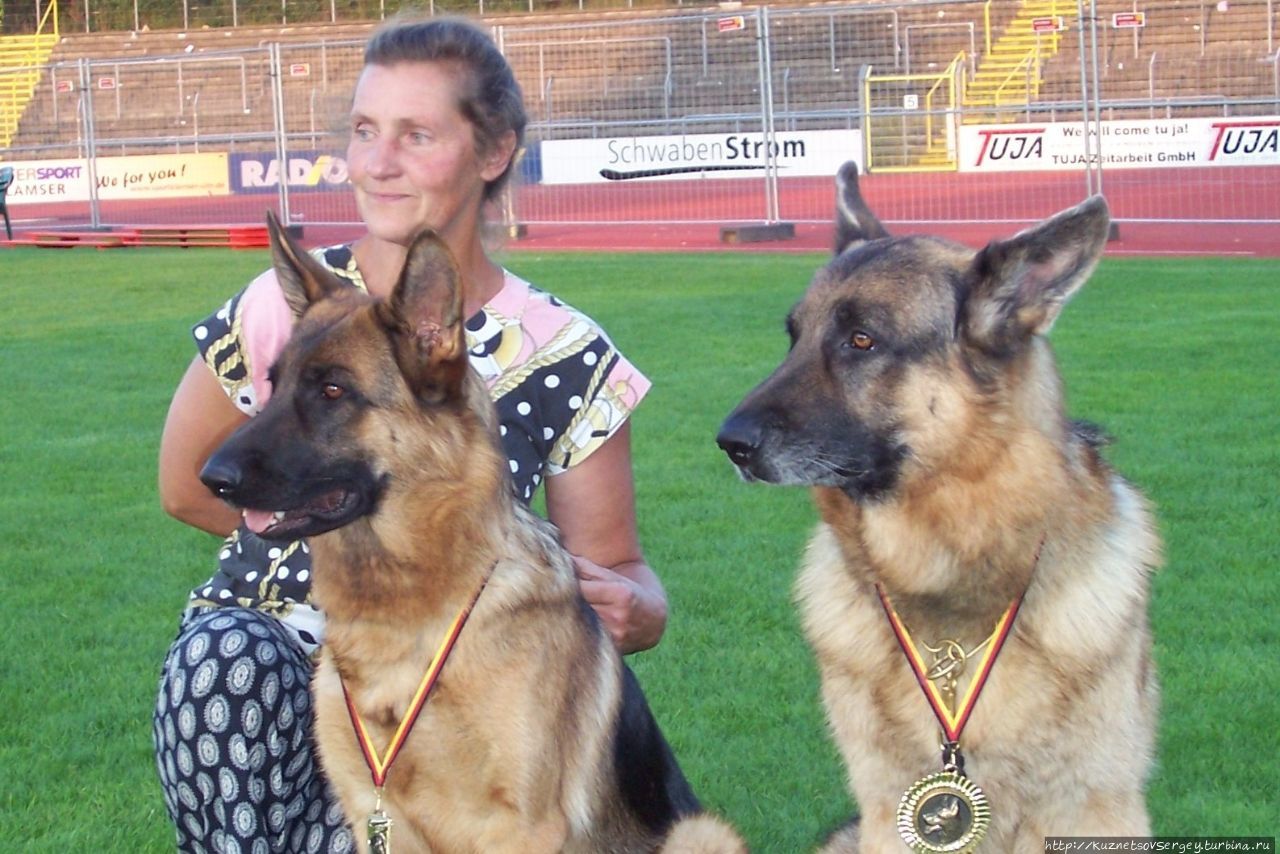 Снова Ульм, снова Зигер! Ульм, Германия