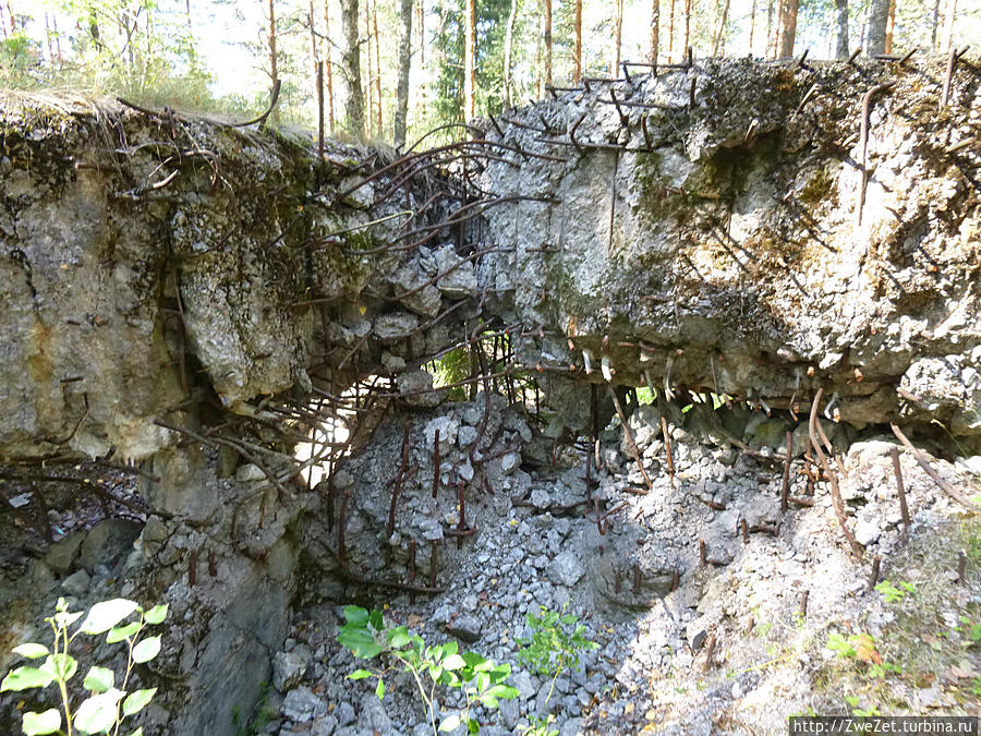 на дне лощины