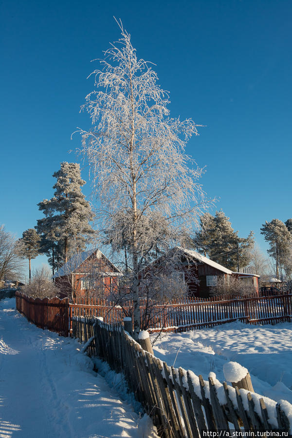 Карелия-лайт Республика Карелия, Россия