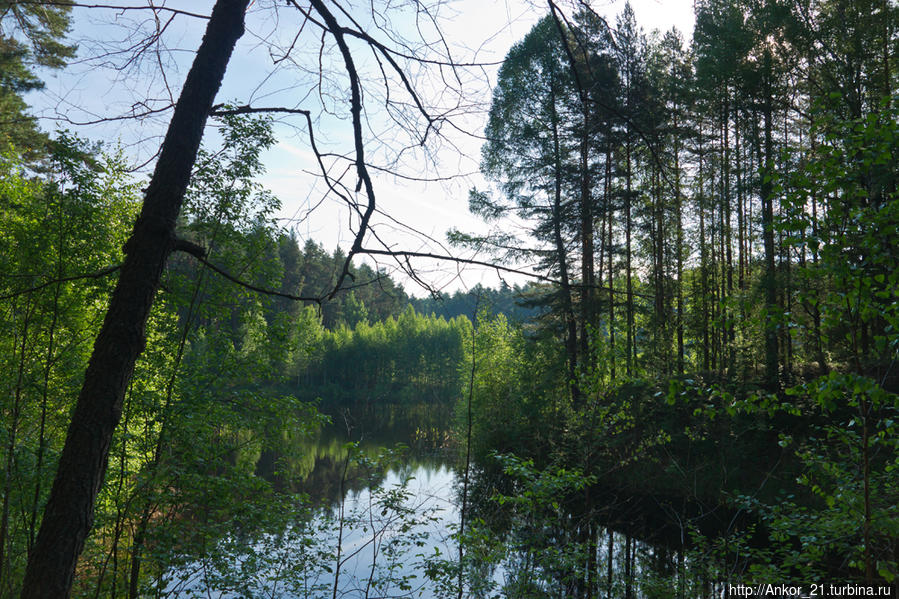Чваниха — райский уголок Кировская область, Россия