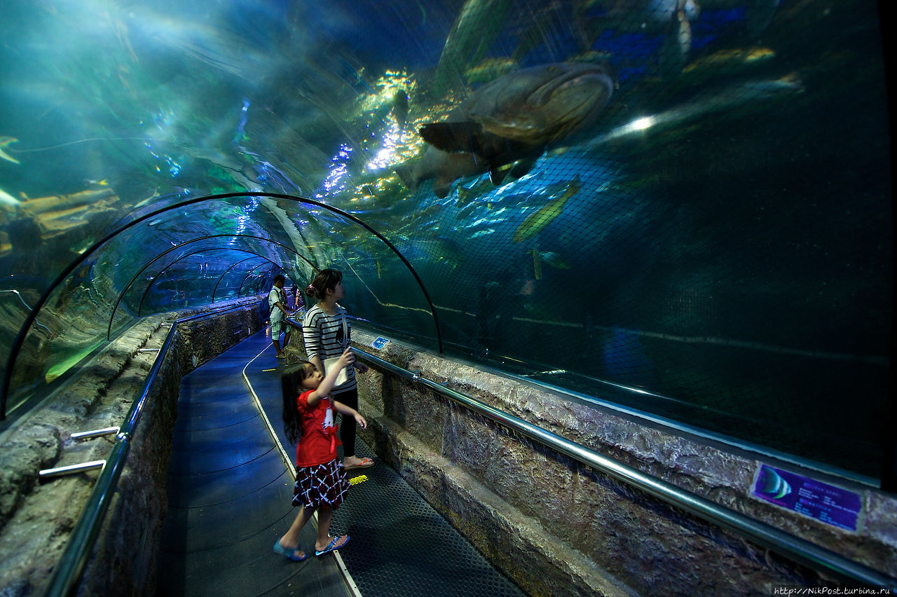 Sea World Ancol Джакарта, Индонезия