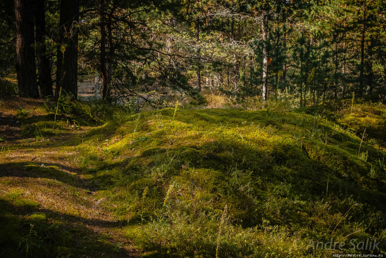 Природный парк Ragakāpa. Юрмала, Латвия