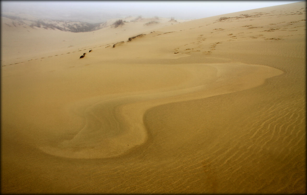 Пустыня в азии 7 букв. Аравийская пустыня 2022. Монголия гоби. Пустыни в 2023 году. Аравийская пустыня.