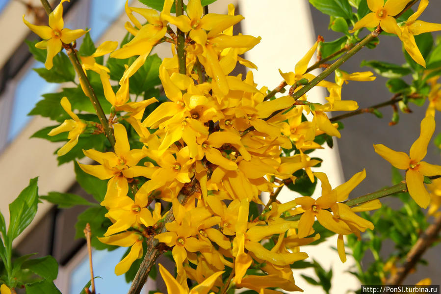 Венгрия моими глазами Венгрия