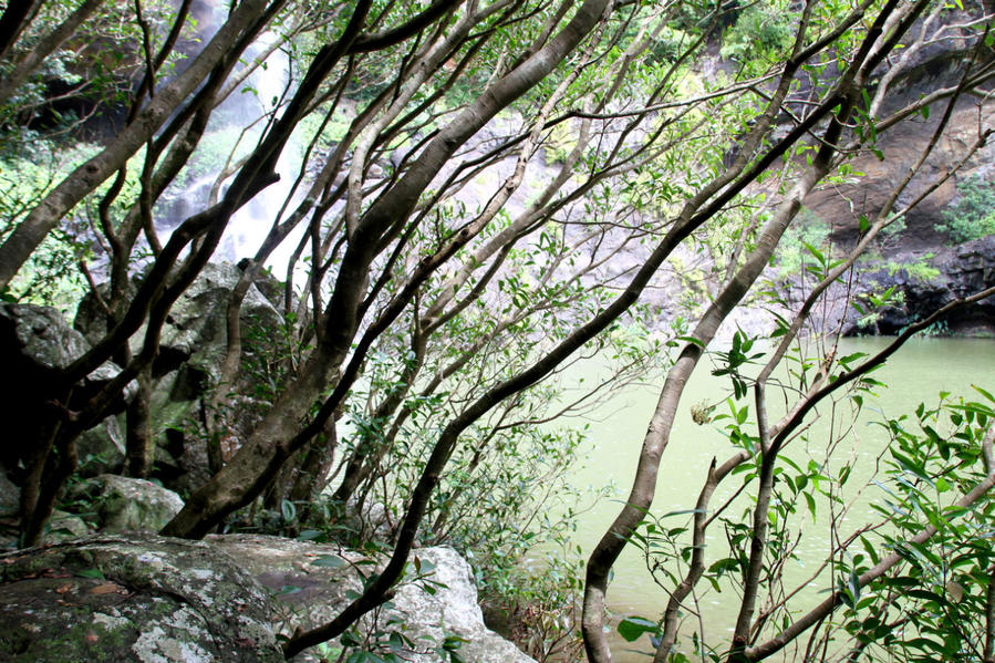 Семикаскадная прогулка по Маврикию Сет-Каскад, Маврикий