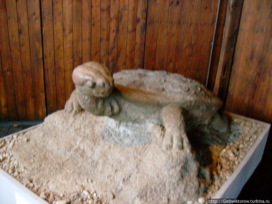 Посещение концлагеря Майданек Люблин, Польша