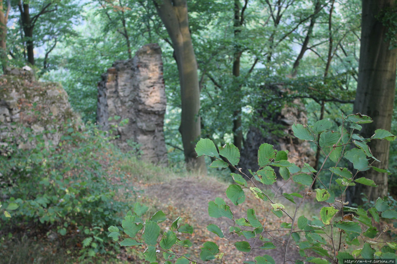 Развалины замка Девин Либерецкий край, Чехия