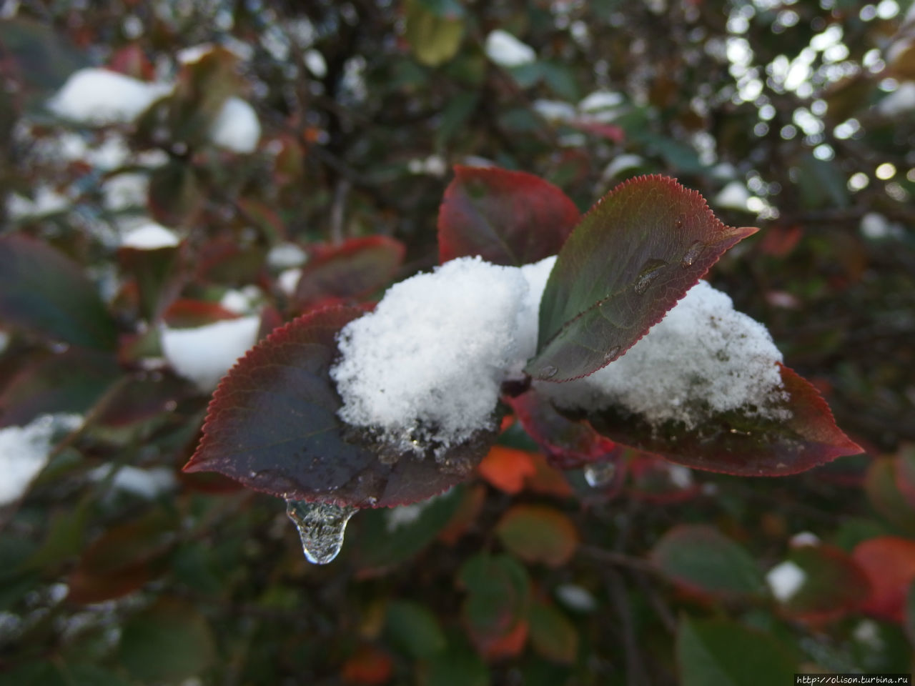 Осень в любимом городе Москва, Россия