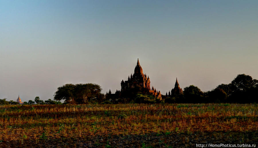 Здесь растут храмы! Баган, Мьянма