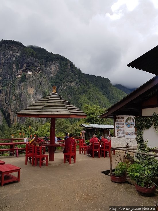 Из интернета