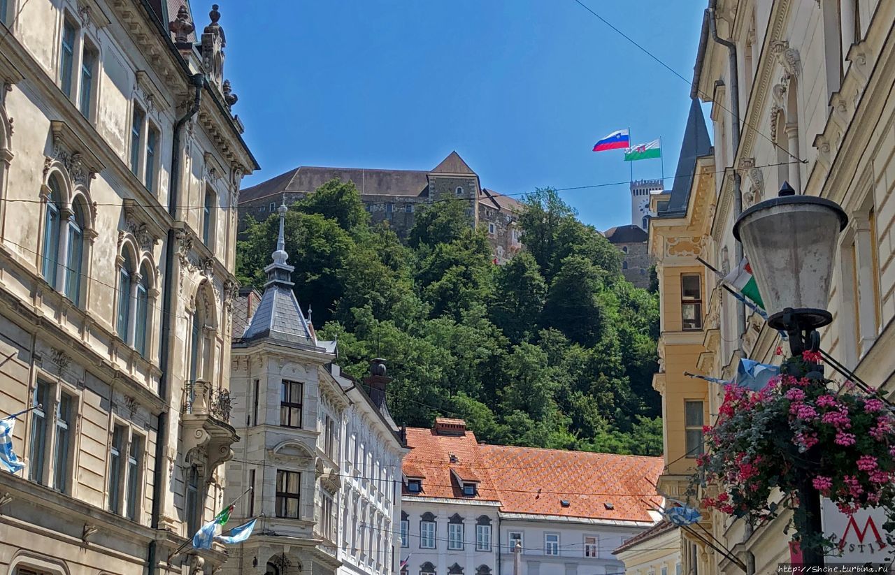 Люблянский град / Ljubljanski grad
