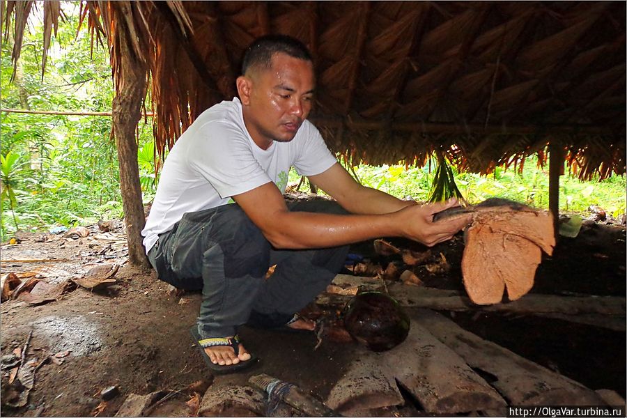 Филипп рассказывает о кокосе Булусан, Филиппины
