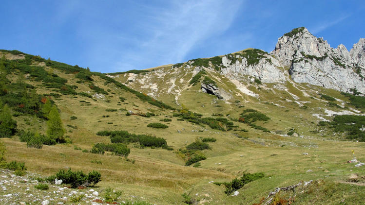 Бежать, радуясь солнцу в 