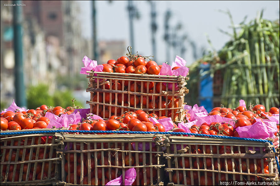 Мы были в Египте в августе. В отеле нас обильно кормили очень вкусными финиками и средней паршивости арбузами и апельсинами. Надо сказать, что египтяне умудряются в пустыне, в прилегающих к Нилу местах, выращивать очень даже хороший урожай овощей...
* Каир, Египет