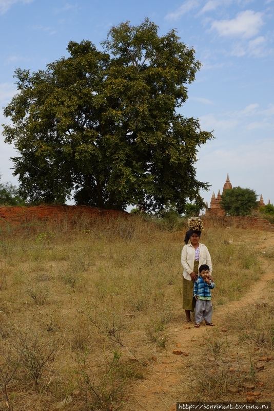 Выживший в Бирме, часть вторая Мьянма