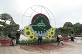 Парк цветов в Далате.