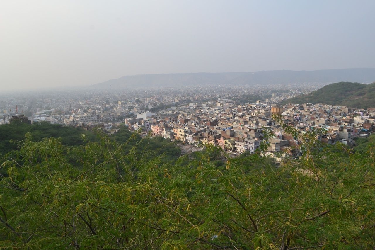 Храм обезьян Джайпур, Индия
